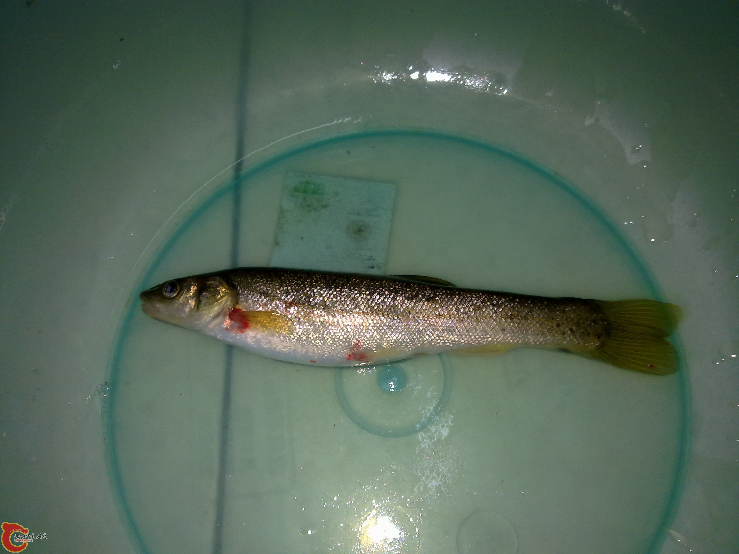 20101202031.jpg