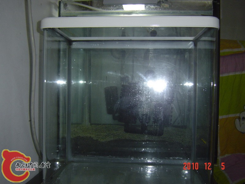 DSC00012.JPG