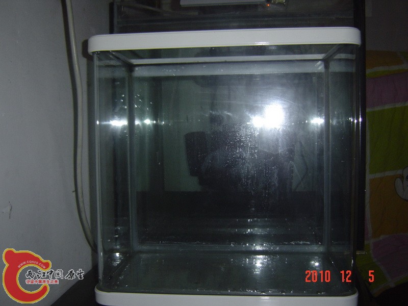DSC00011.JPG