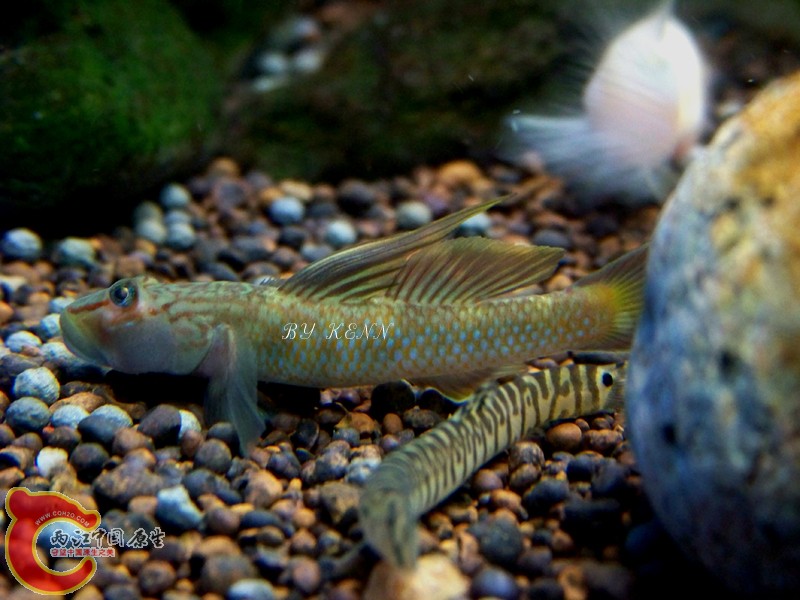 100_2336.JPG