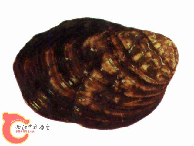 SW00600023.jpg