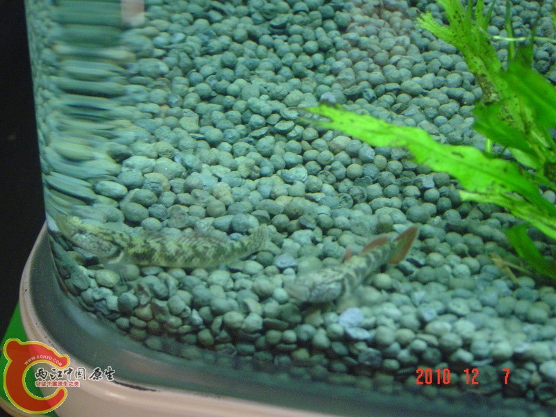 DSC00013.JPG