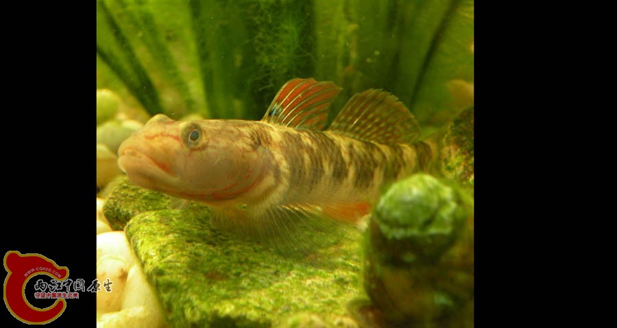 DSCN9852__m.jpg