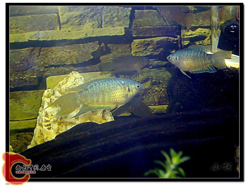 nEO_IMG_DSC00568_wm.jpg