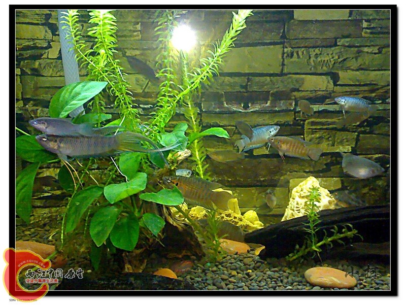 nEO_IMG_DSC00606_wm.jpg