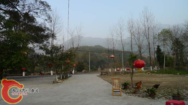 P1010900.jpg