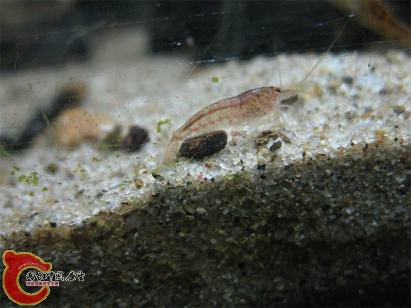 IMG_4636.jpg