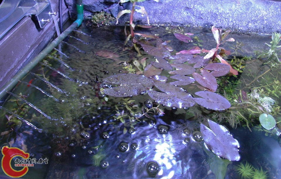 DSC_6853.jpg