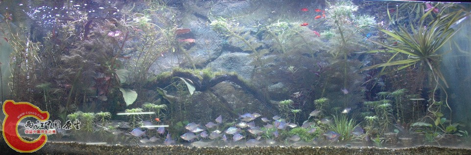 DSC_6848.jpg