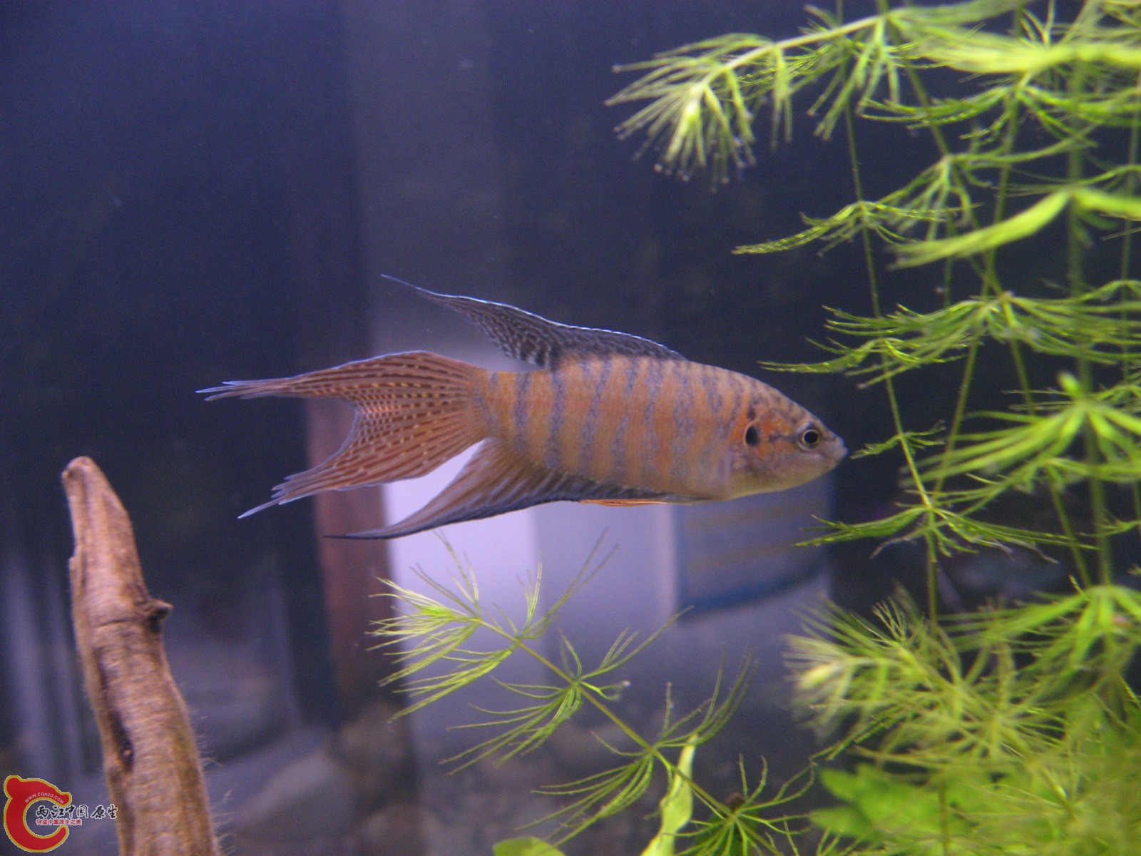 照片 047.jpg