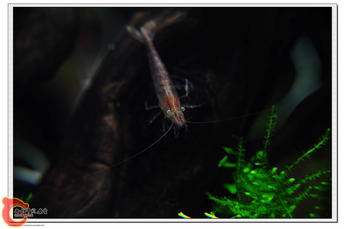 nEO_IMG_DSC_0046.jpg
