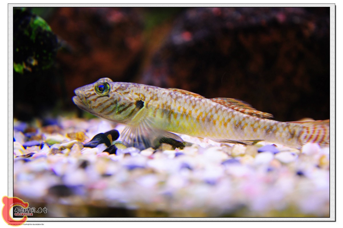 nEO_IMG_DSC_0089.jpg