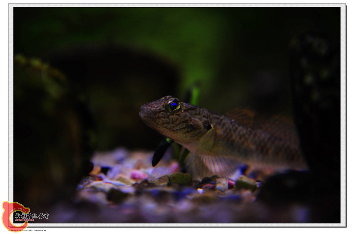 nEO_IMG_DSC_0094.jpg