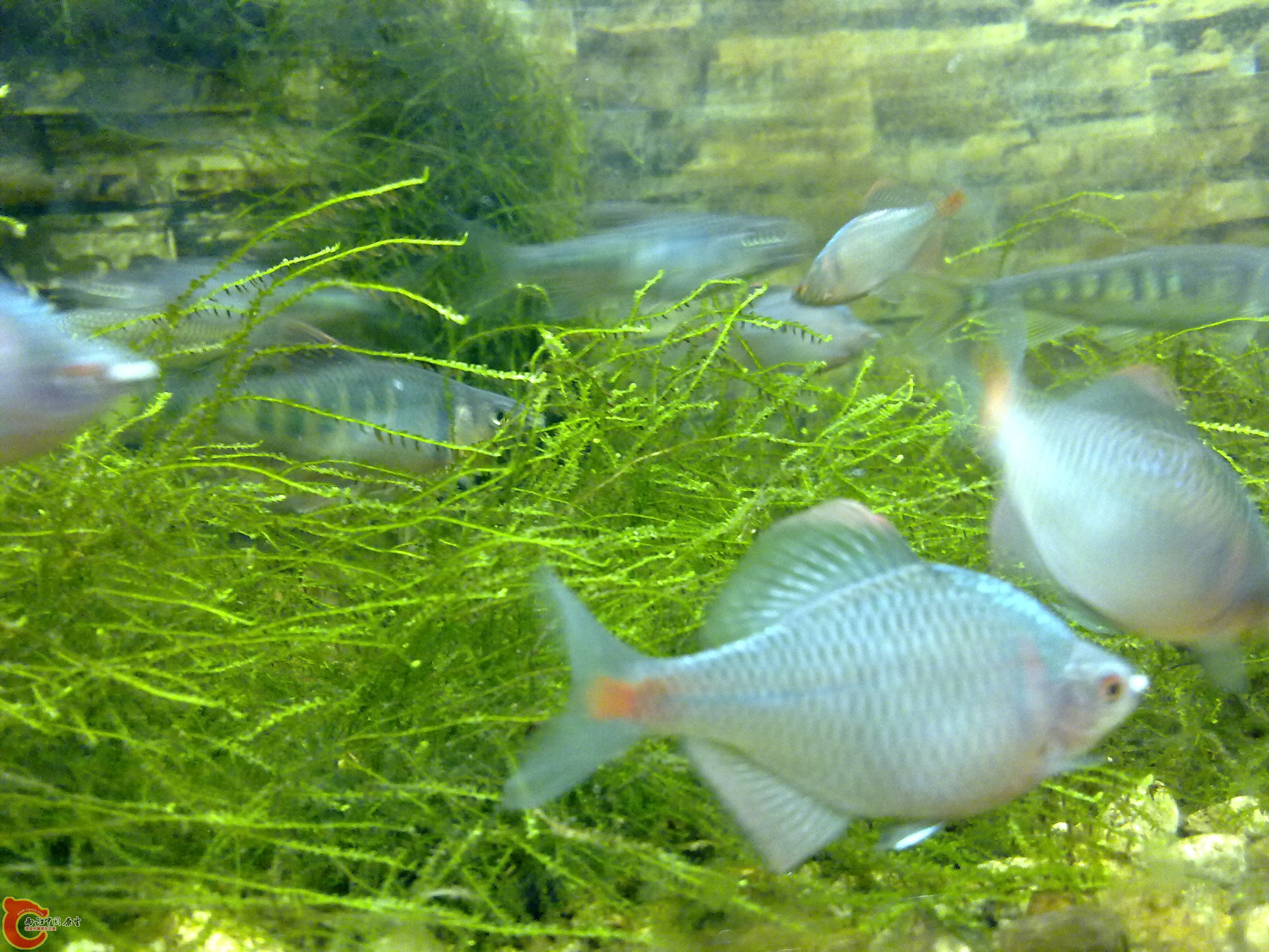 20101218086.jpg
