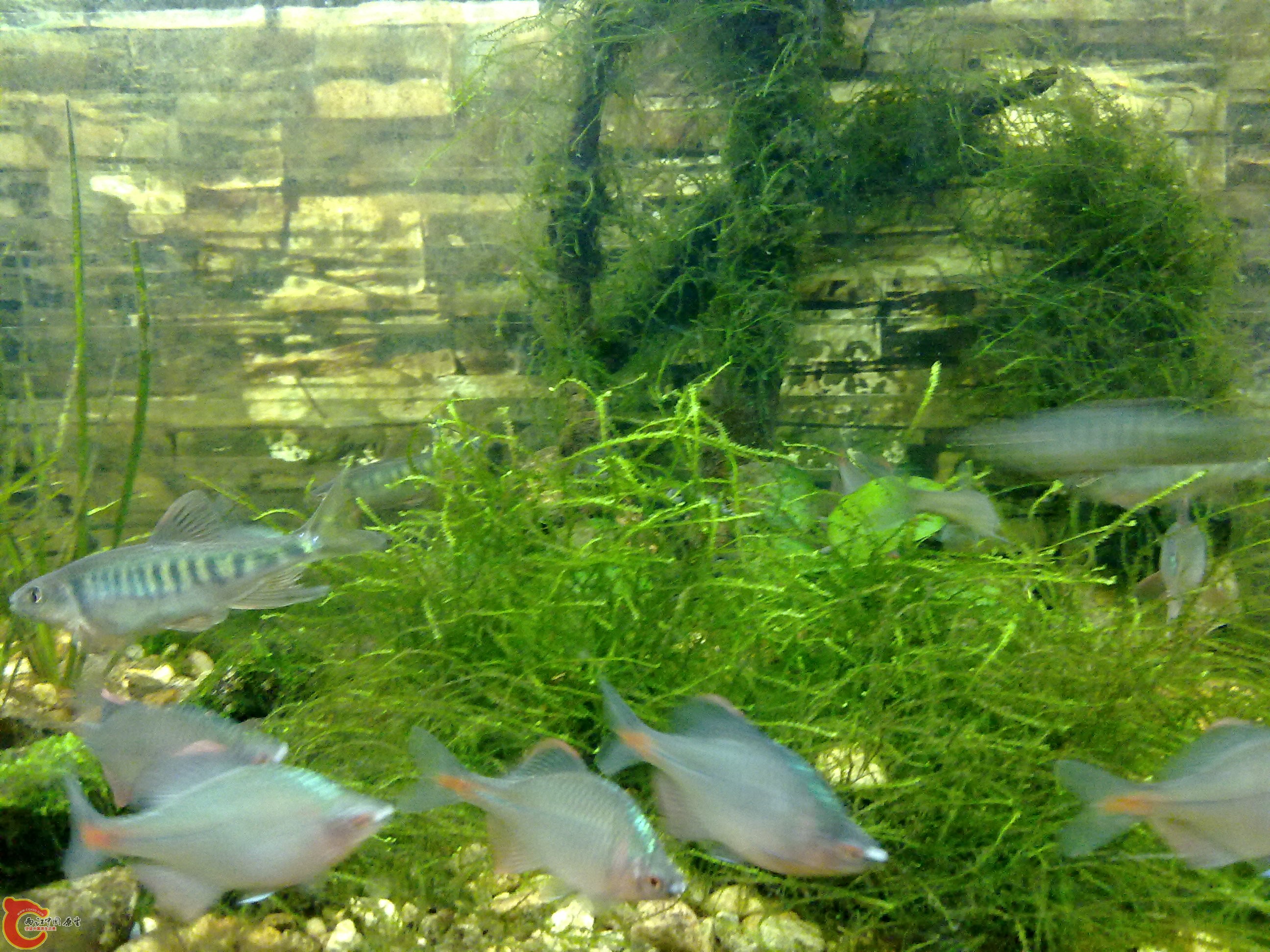20101218085.jpg