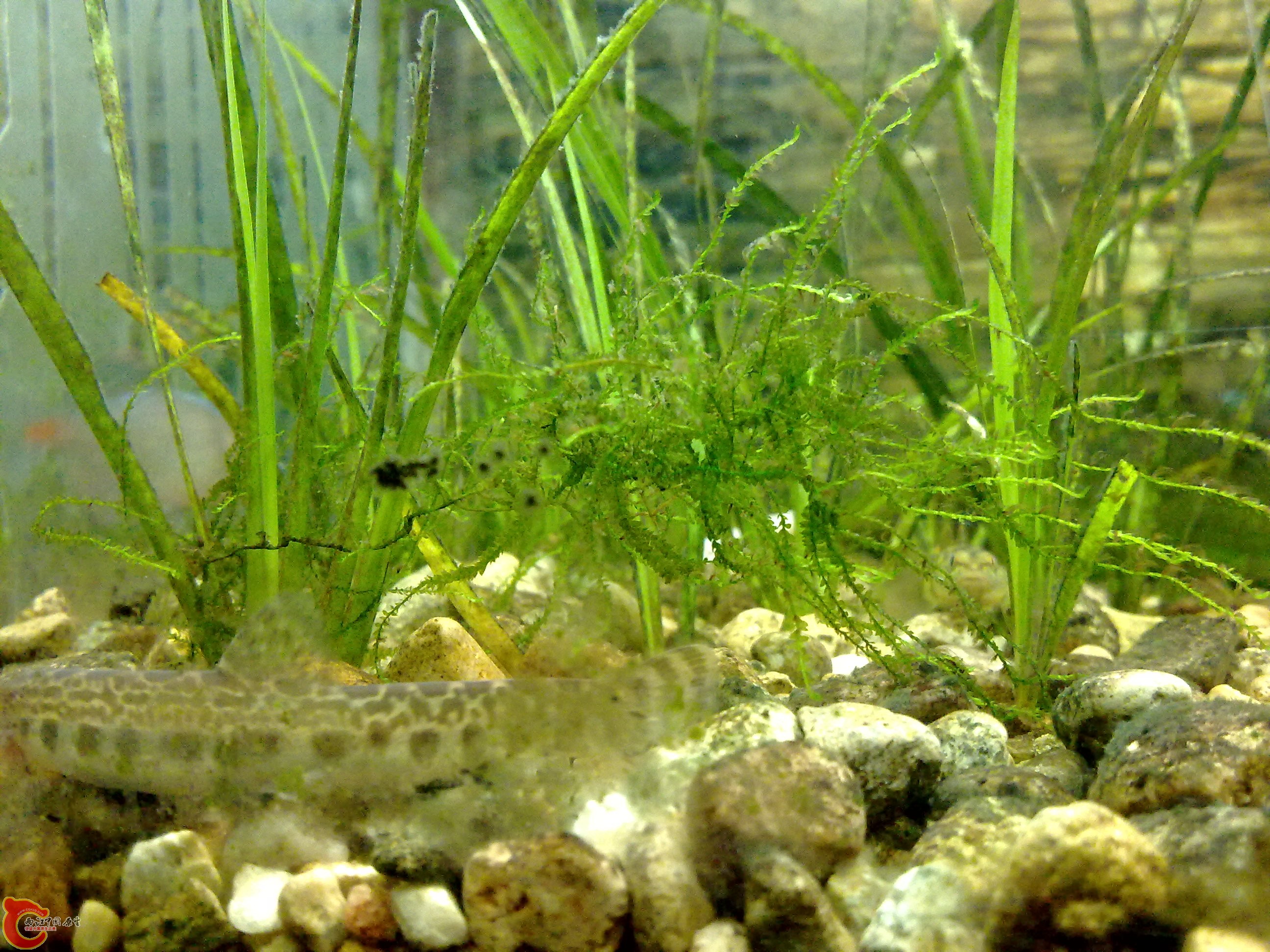 20101218101.jpg