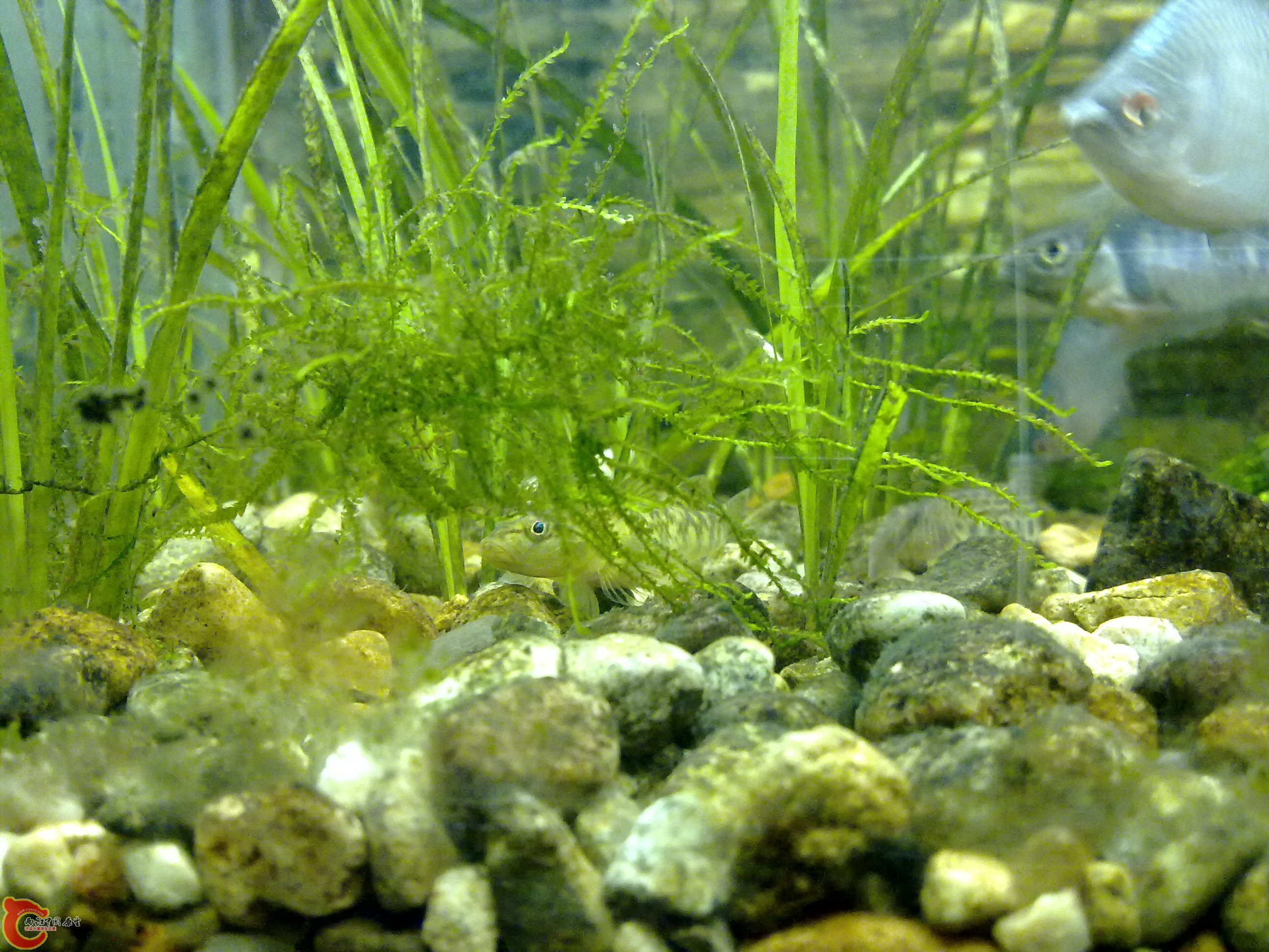 20101218104.jpg