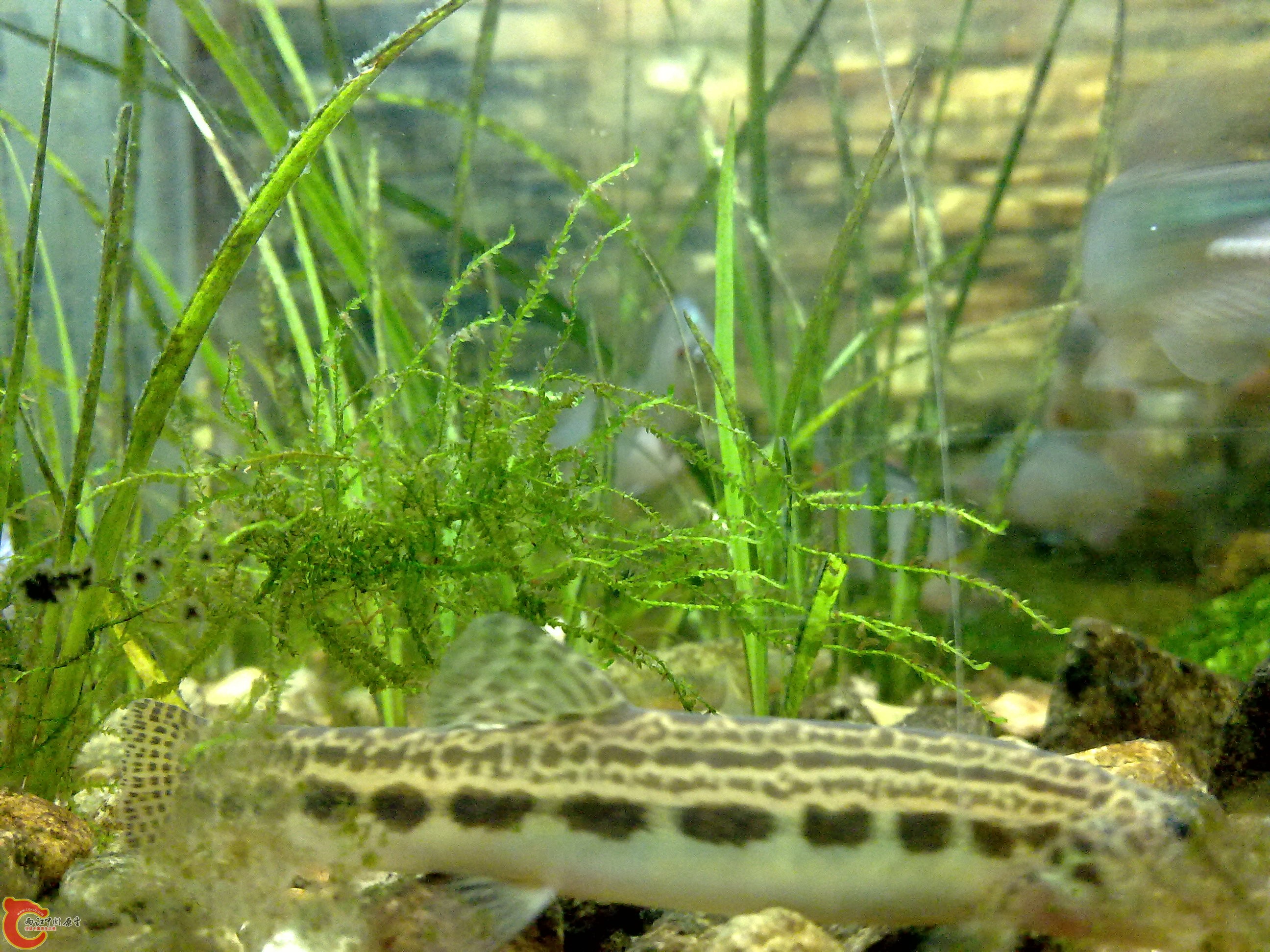 20101218111.jpg