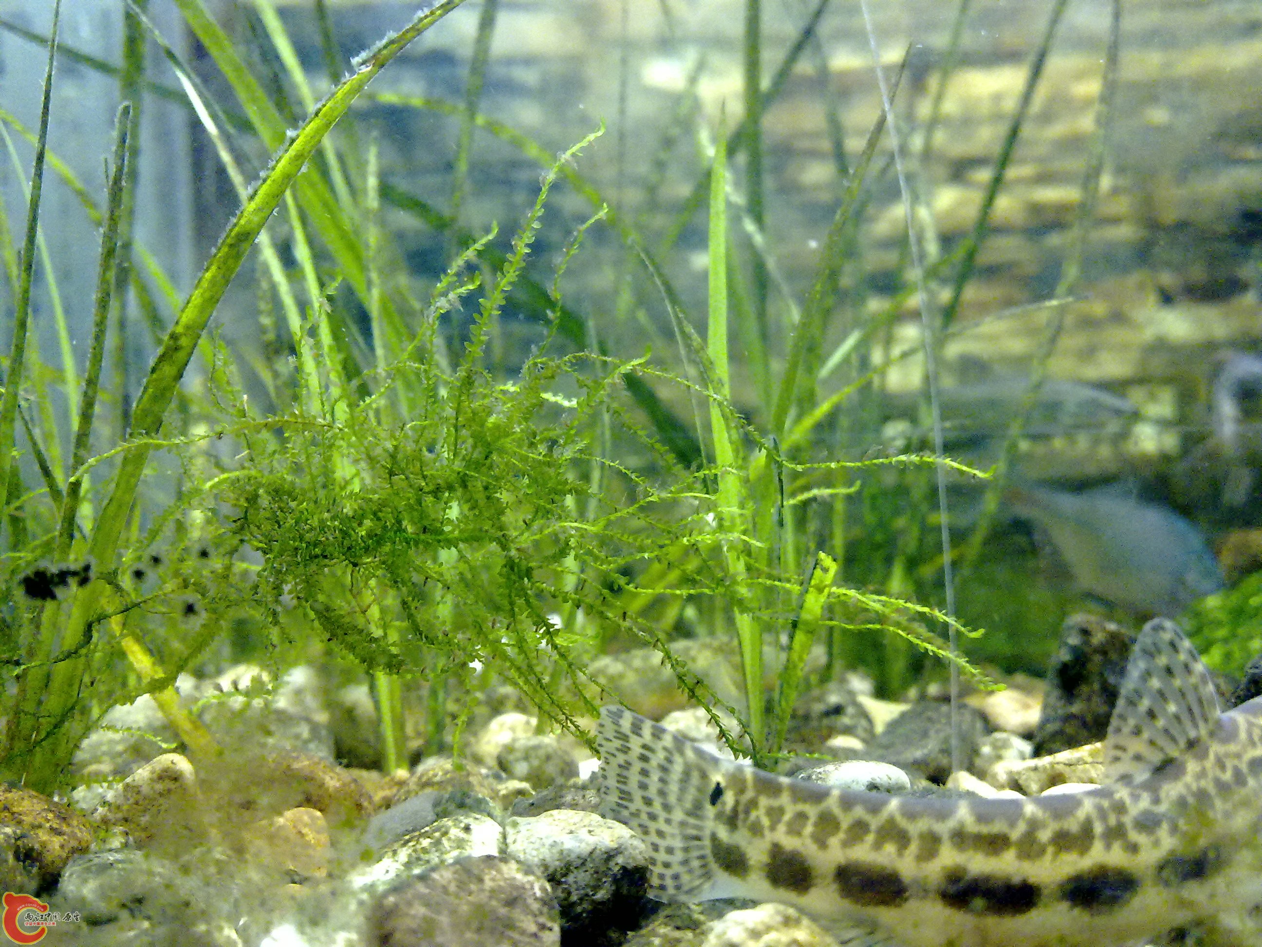 20101218113.jpg