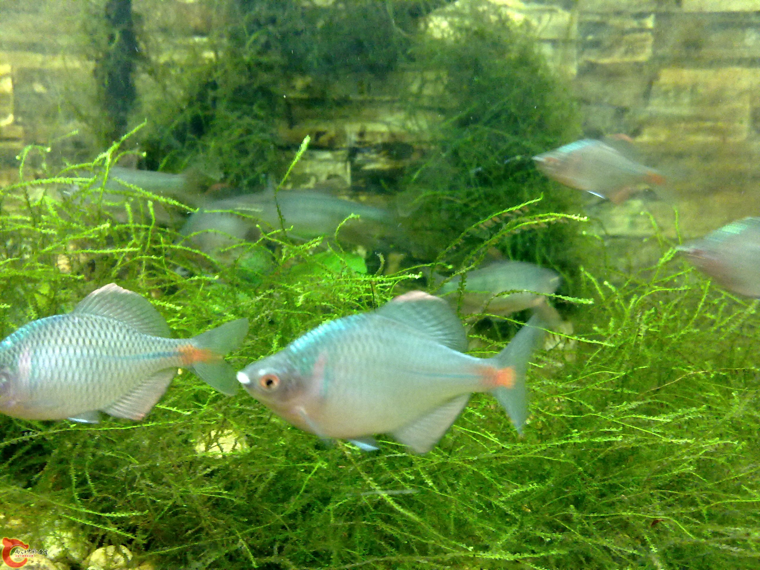 20101218124.jpg