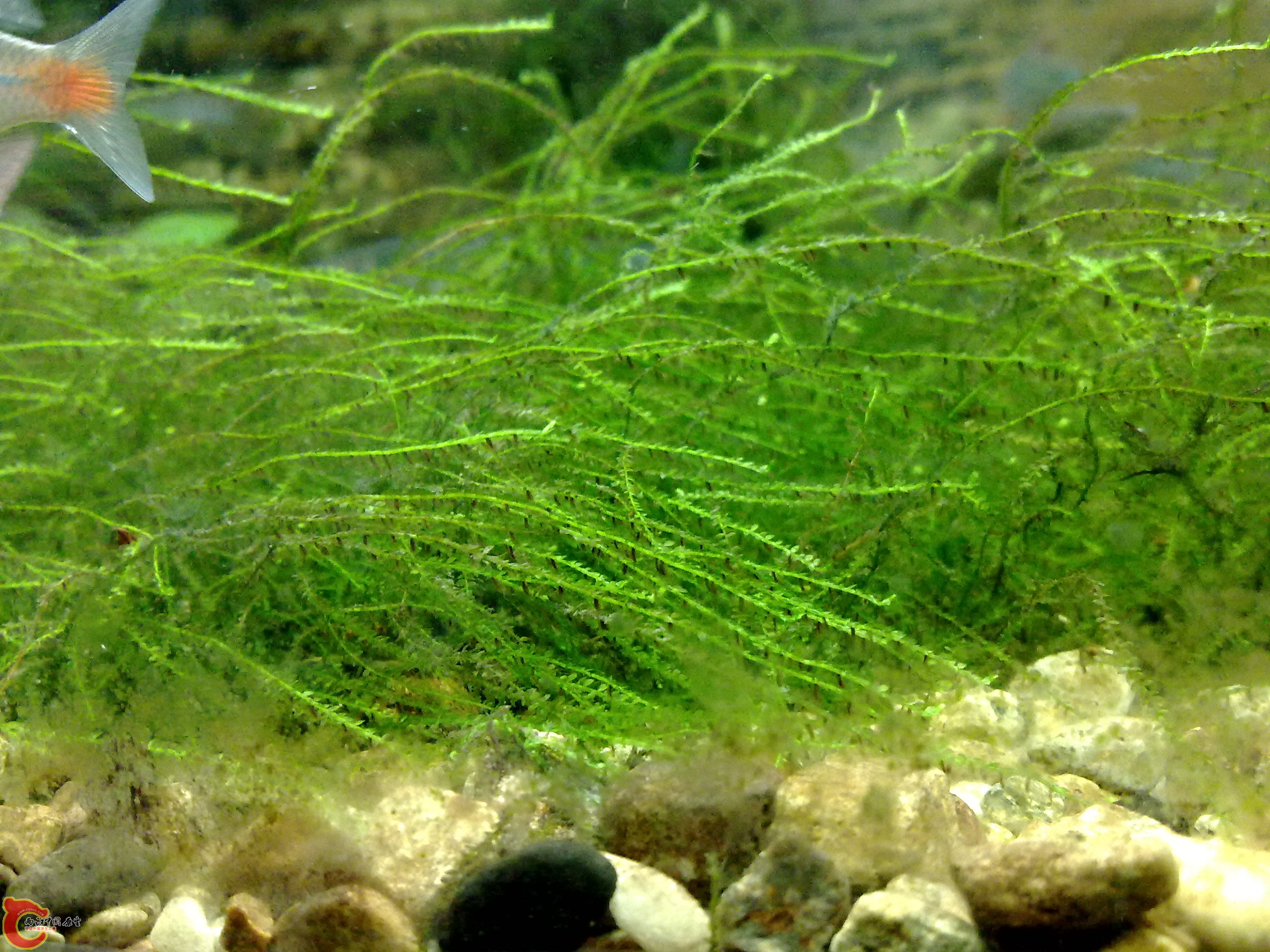 20101218260.jpg