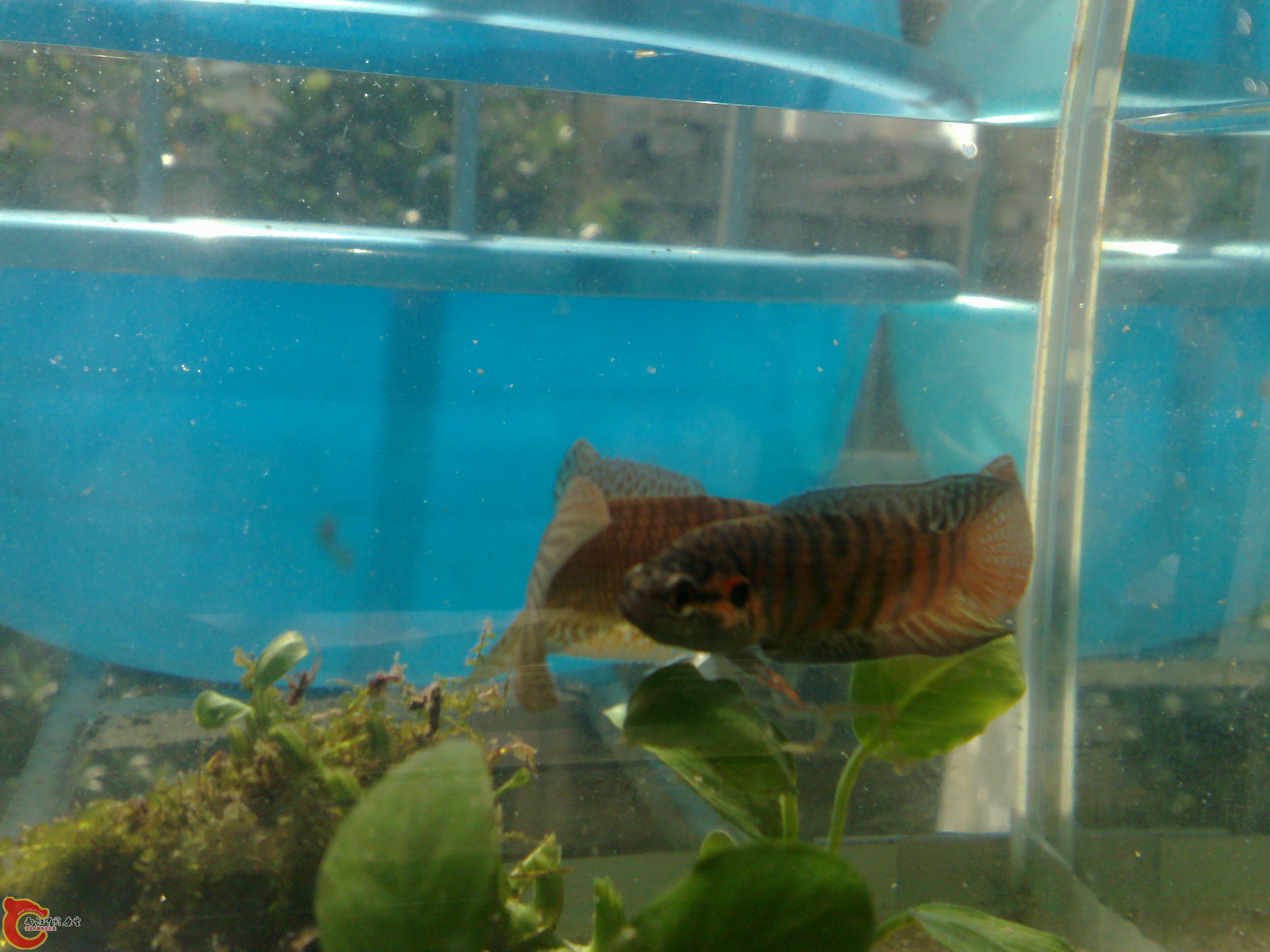 20101114428.jpg