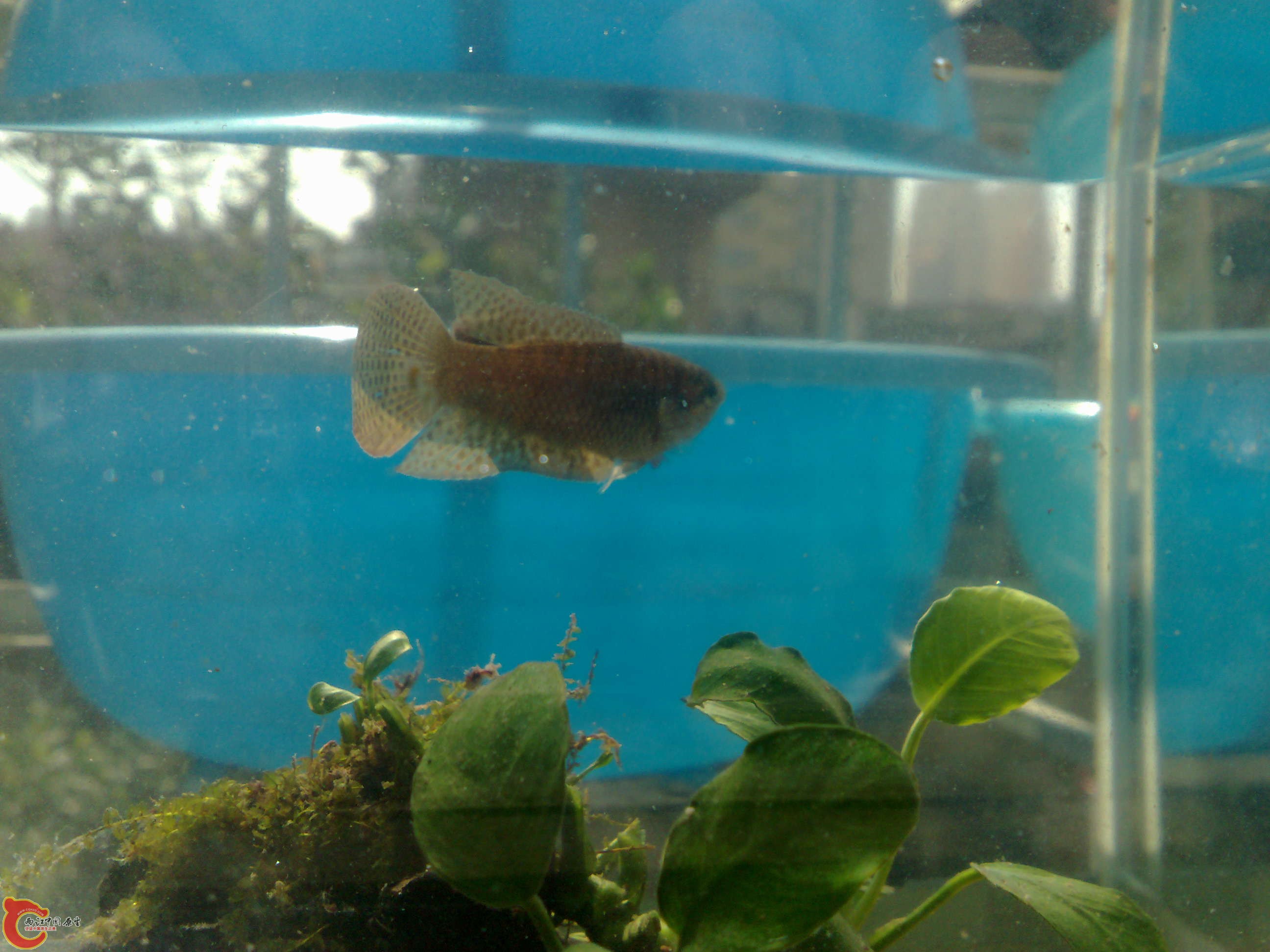 20101114476.jpg