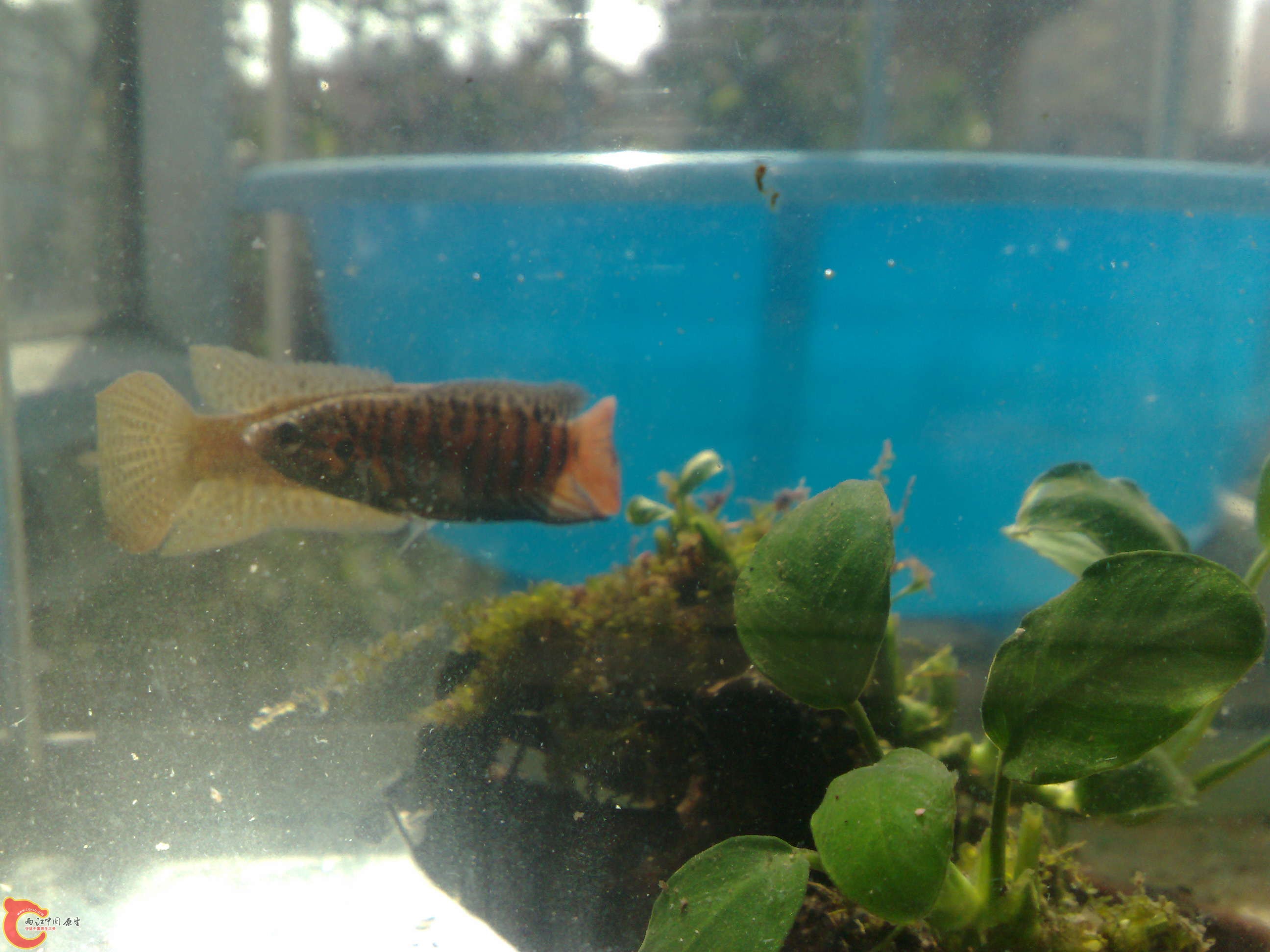20101114460.jpg