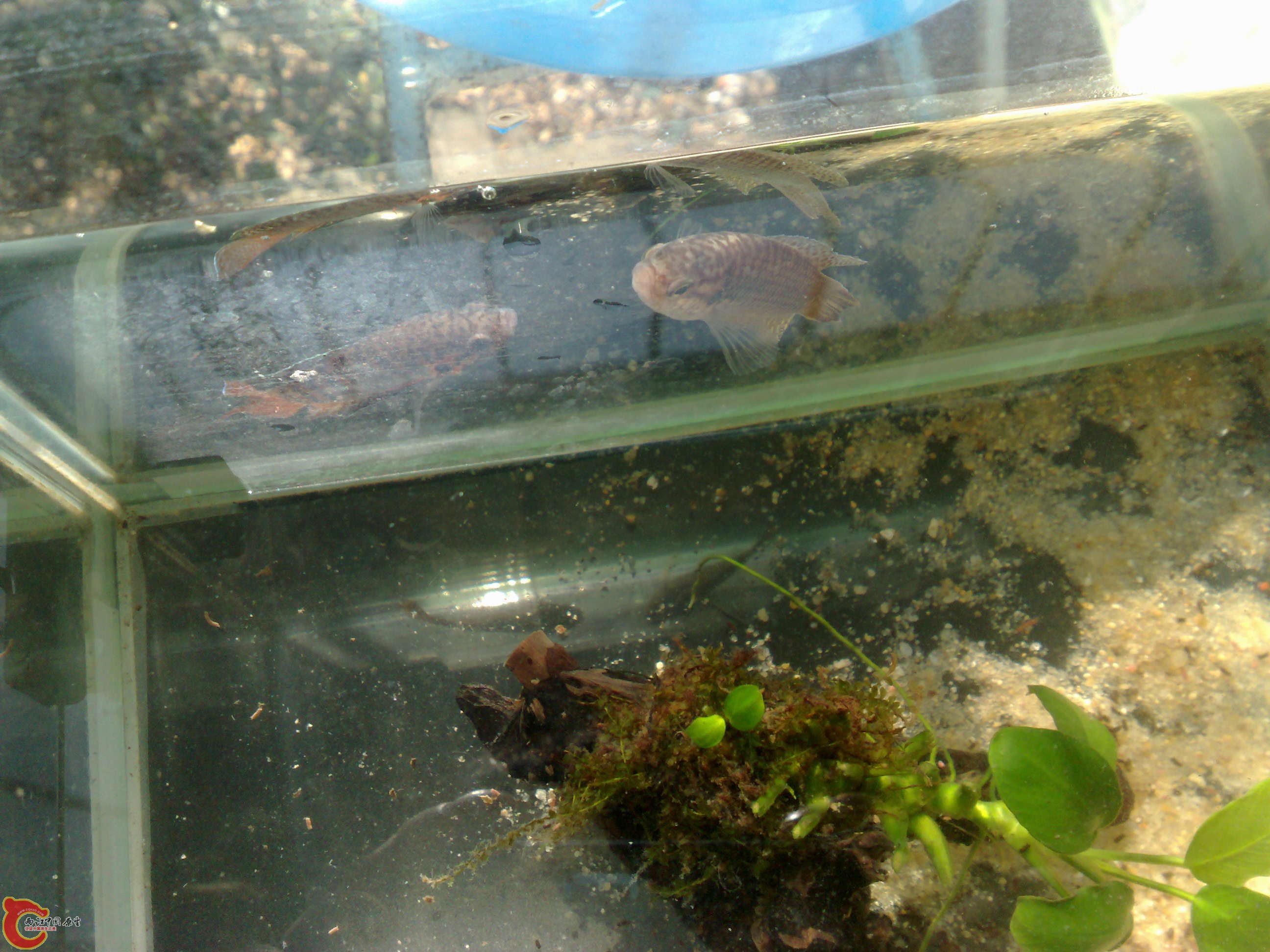 20101114487.jpg