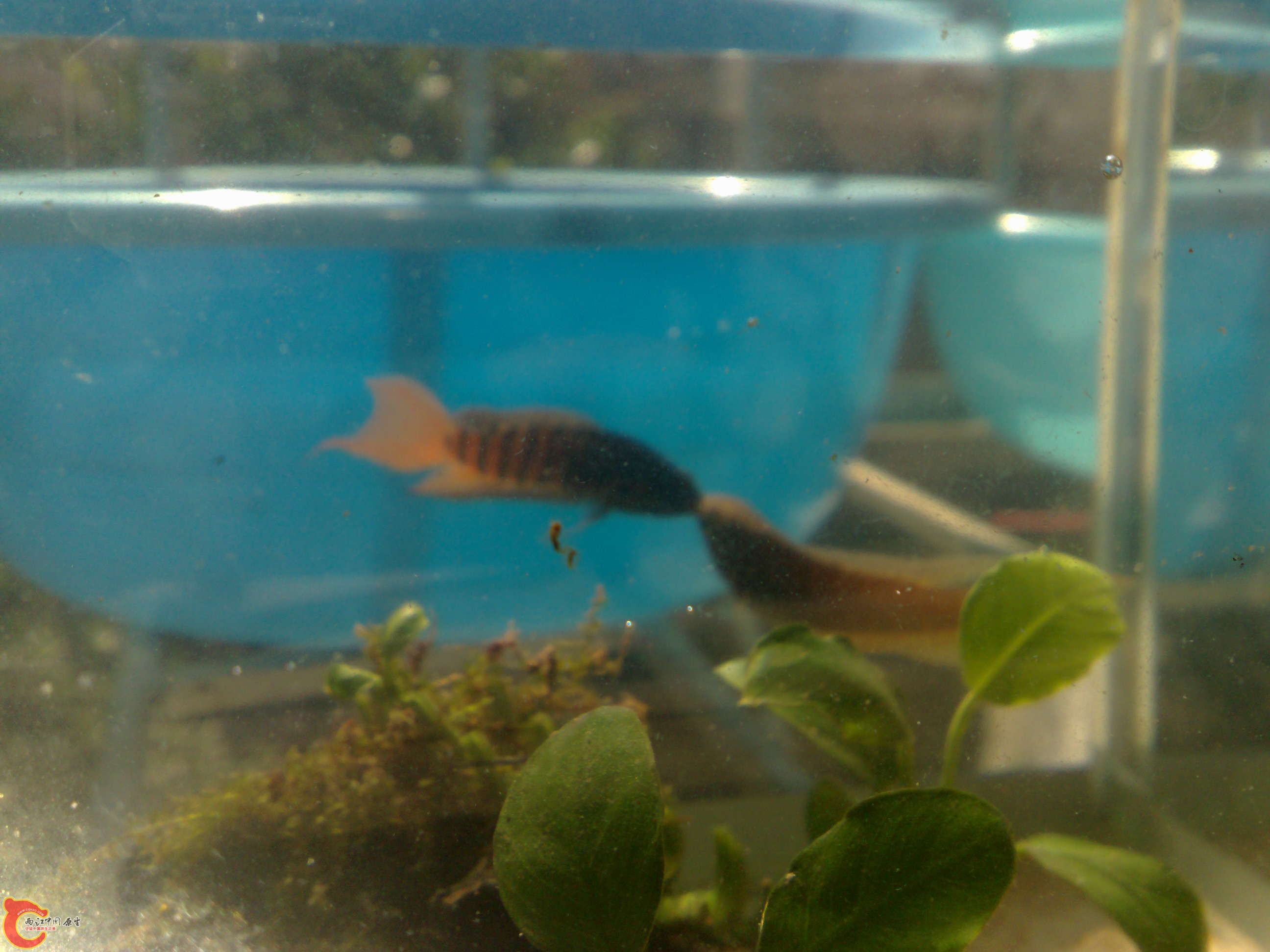 20101114483.jpg