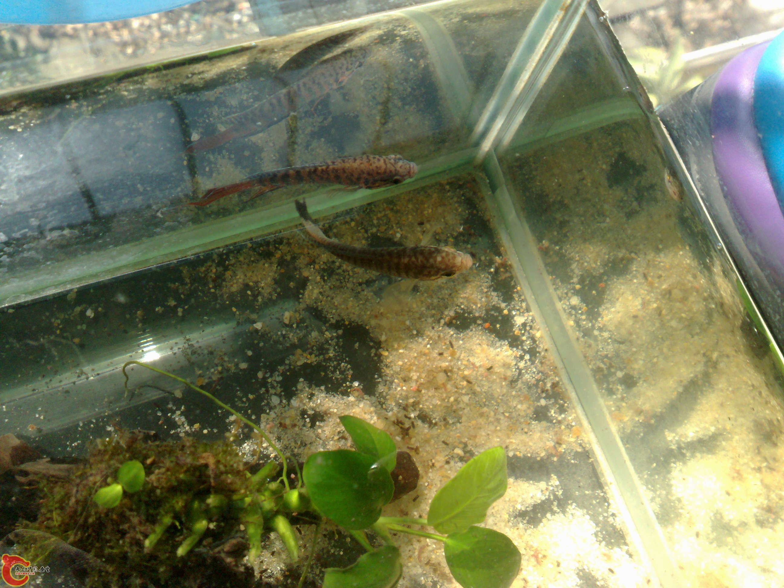 20101114498.jpg