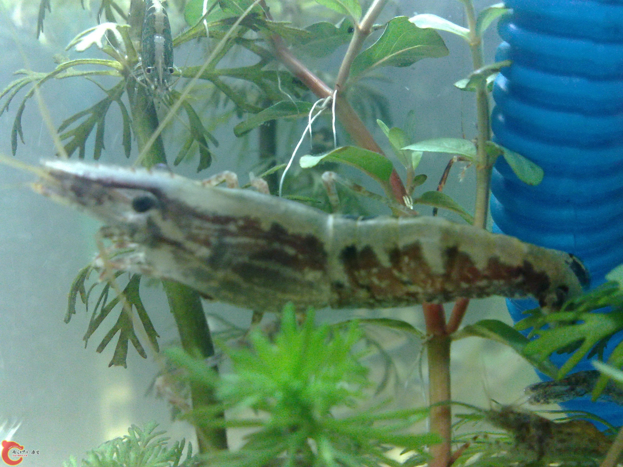 20101219608.jpg