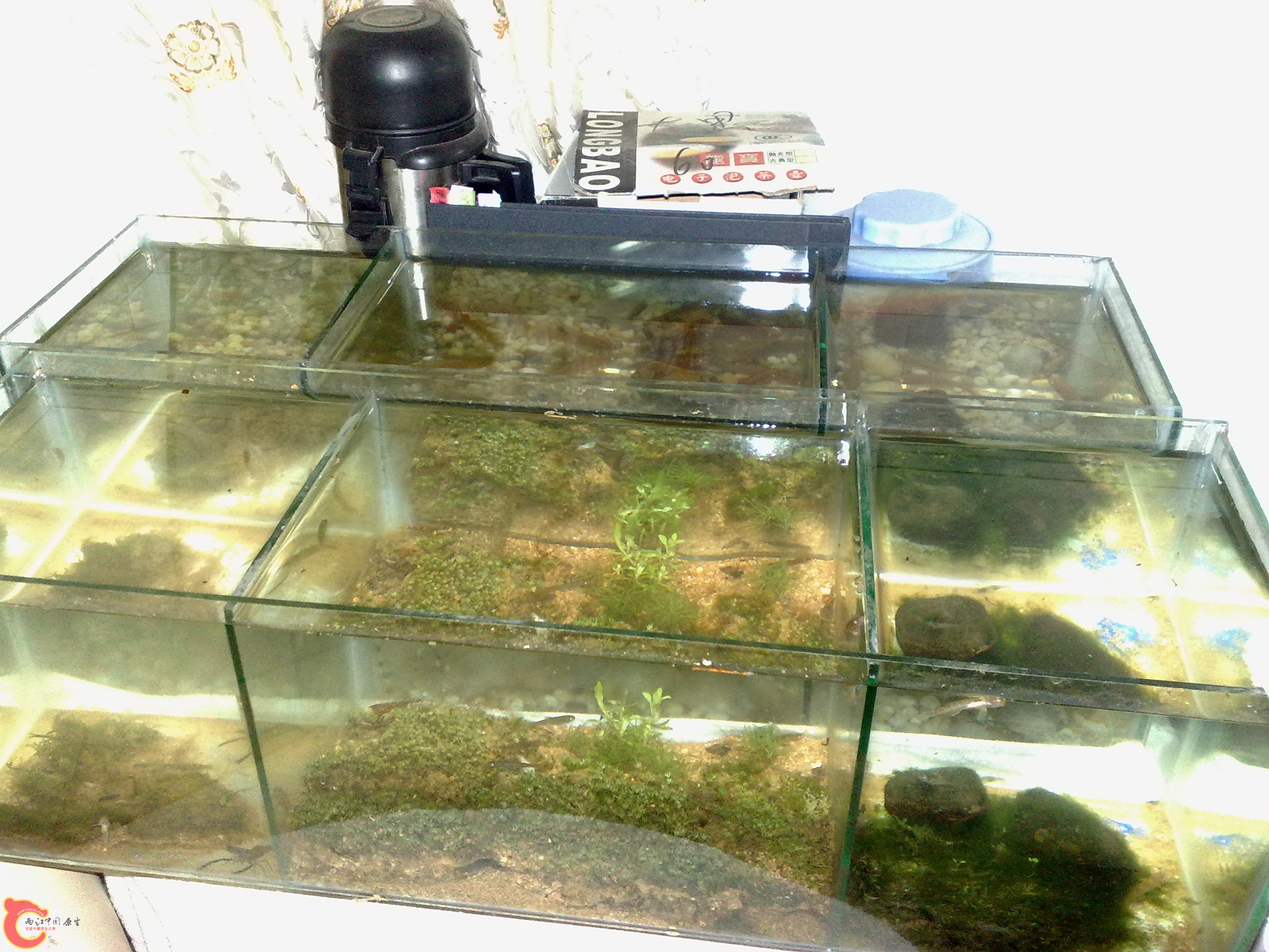 20101219596.jpg