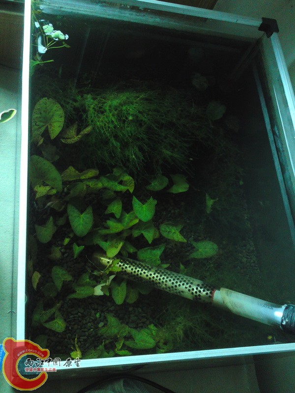 P24-12-10_14.35.jpg