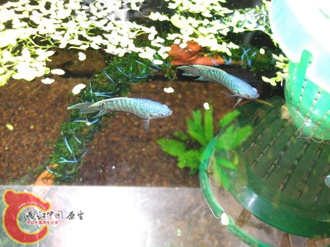 照片 043.jpg