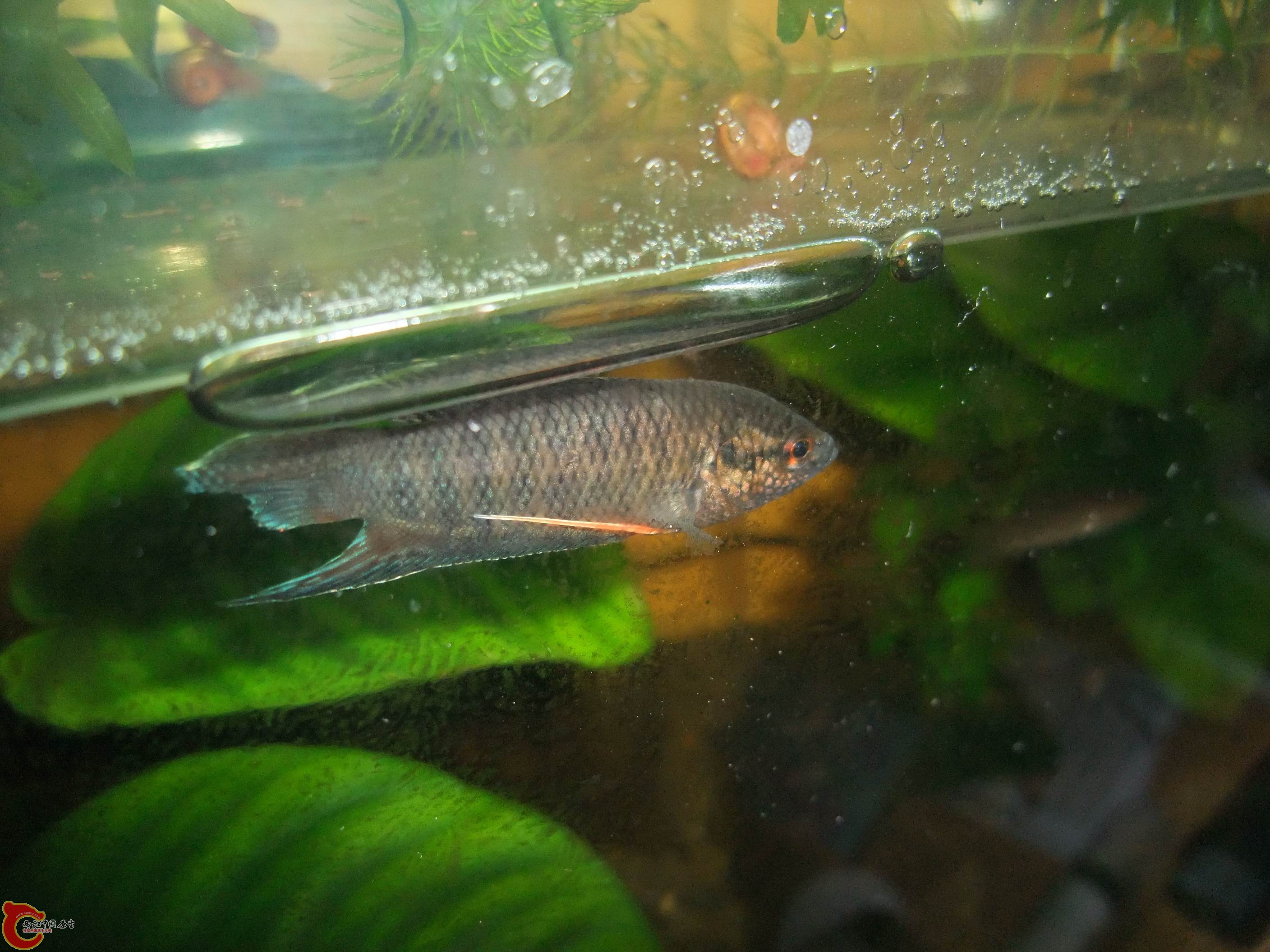 DSCF9045.jpg