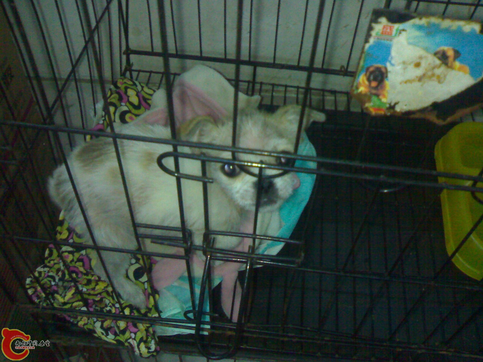 201012261578.jpg