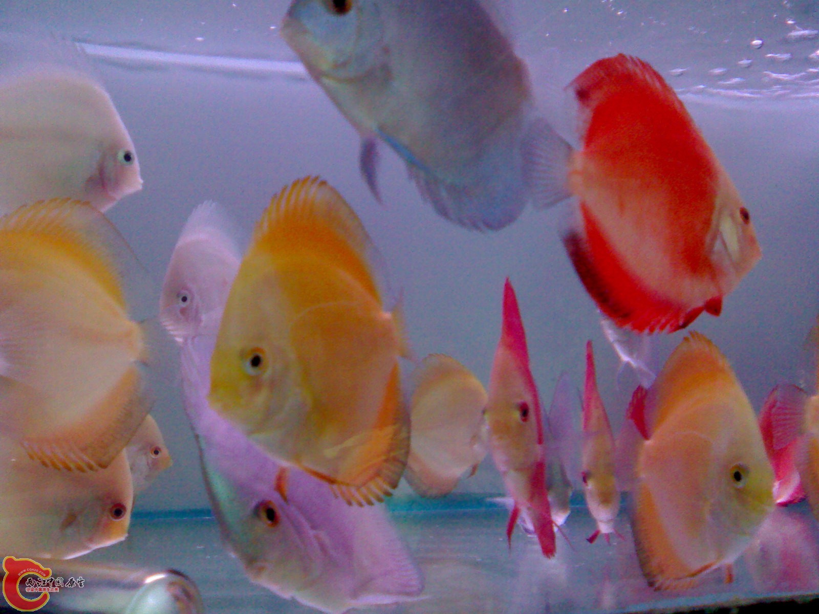 201012271590.jpg