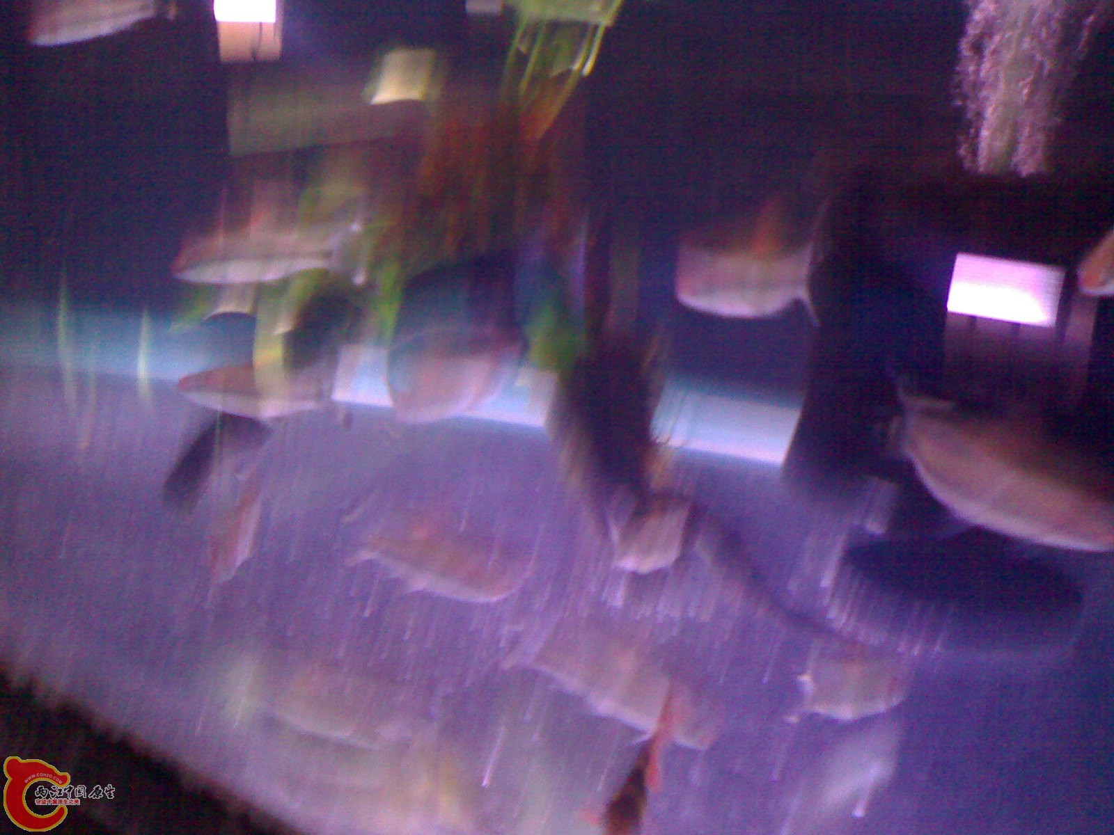 201012271592.jpg