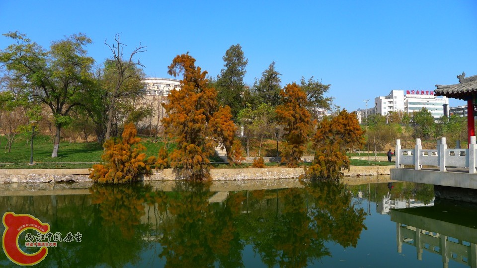 conew_p1000184.jpg