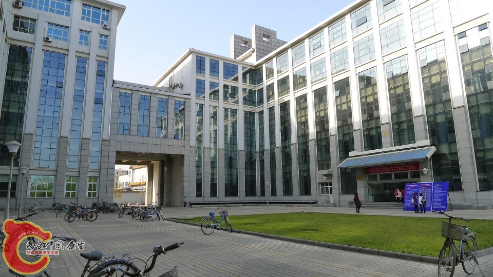 conew_p1000197.jpg