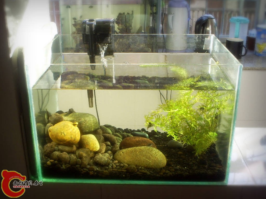 2010-12-18.JPG