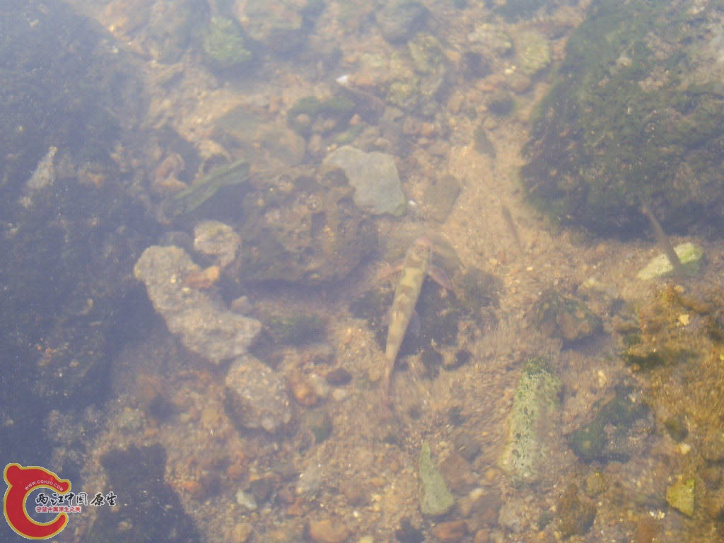 S5030098.JPG