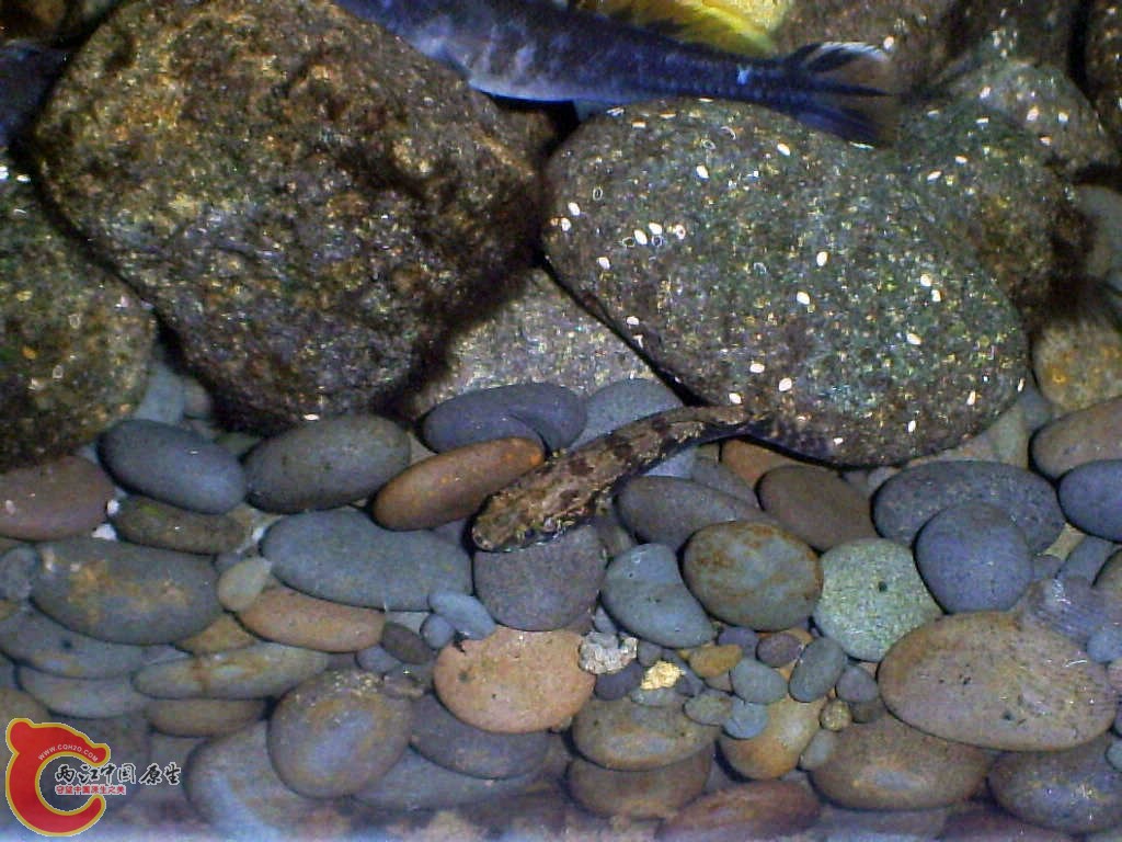 S5030001.JPG
