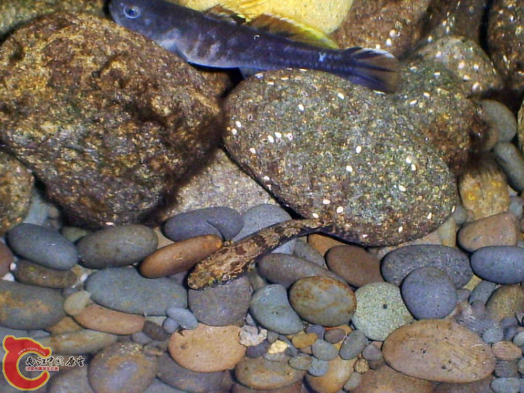S5030002.JPG