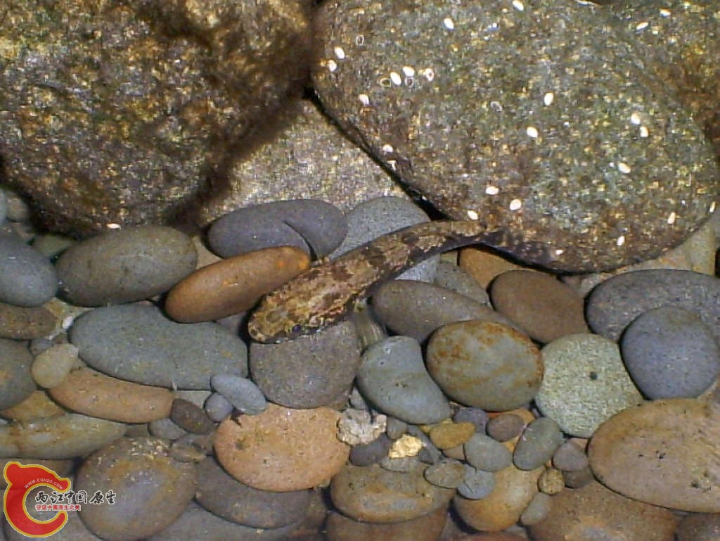 S5030003.JPG