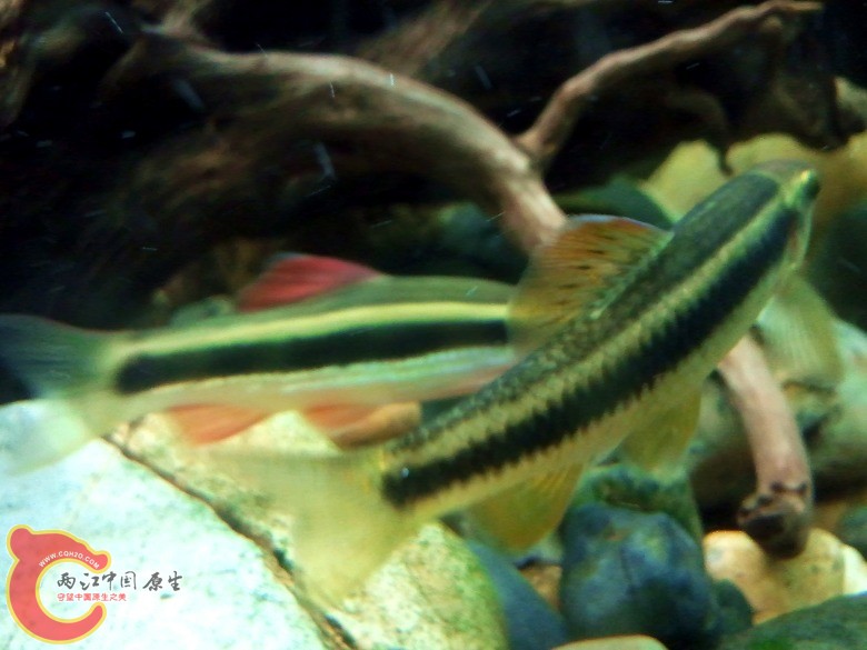 2010-12-17 19.19.47_副本.jpg