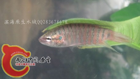 壮家03.jpg