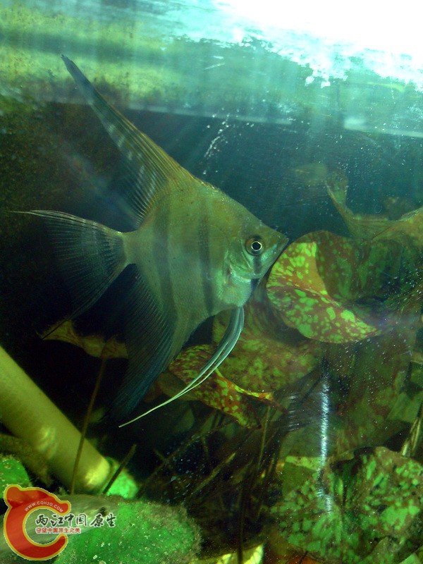 P13-01-11_14.48.jpg