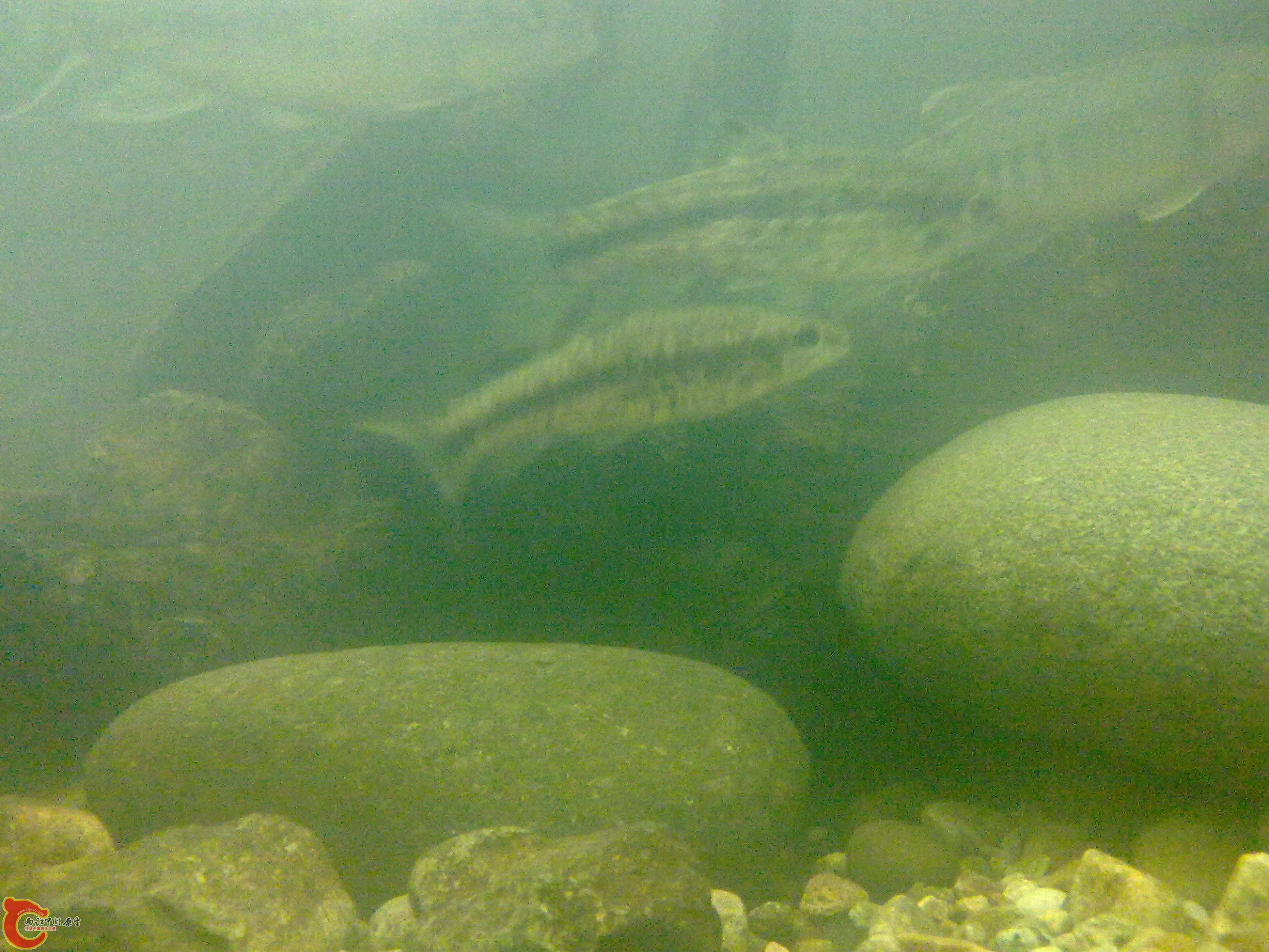 20110116386.jpg